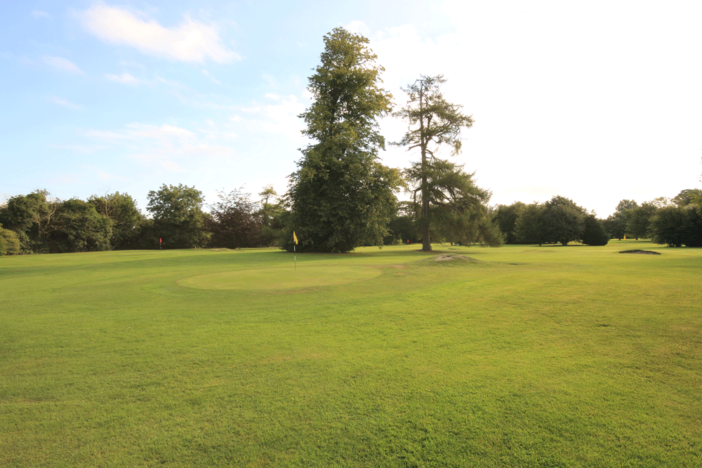 Pitch and Putt Celbridge Elm Hall Golf Club